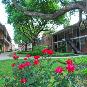 Lush green courtyard at Bellawood Apartments with blooming roses