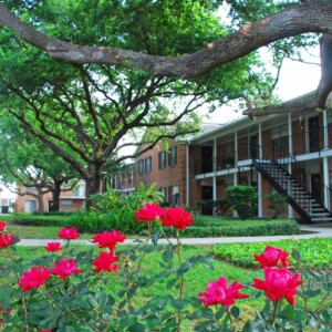 lush courtyard with oak trees and roses surrounding apartments