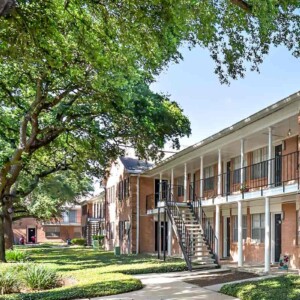 building under shady oak tree
