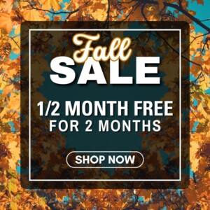 1/2 month free for 2 months on 3 bedrooms